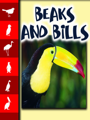 cover image of Beaks and Bills